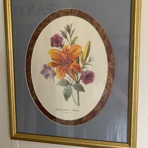 Vintage Botanical Art Print in Gold Frame